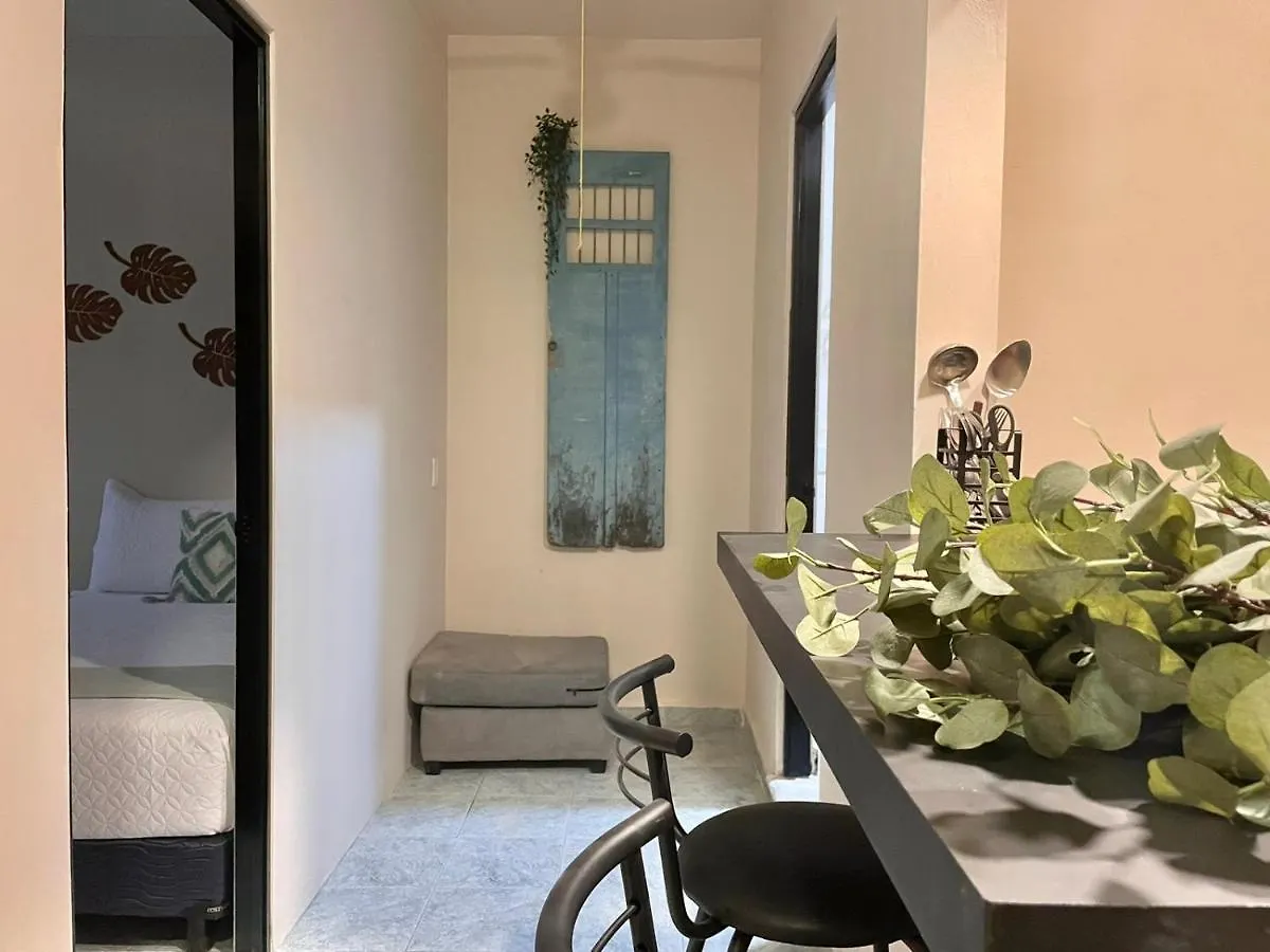 Xikama Studios By Andiani Travel Cancun